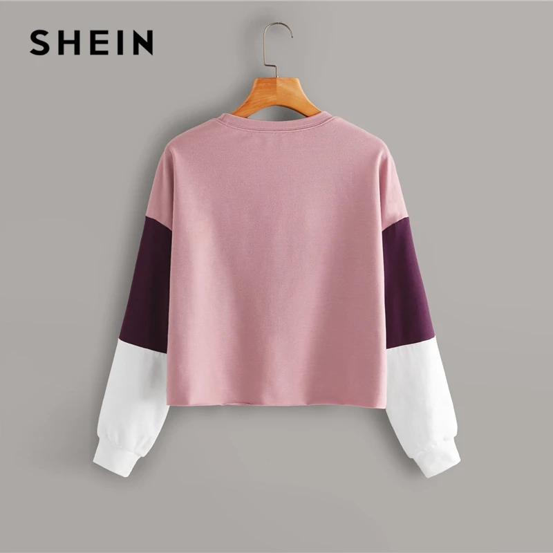 SHEIN Падение плеча Colorblock Повседневный свитер для женщин, пуловер осенняя одежда для активного отдыха с длинными рукавами Повседневные толстовки Топы
