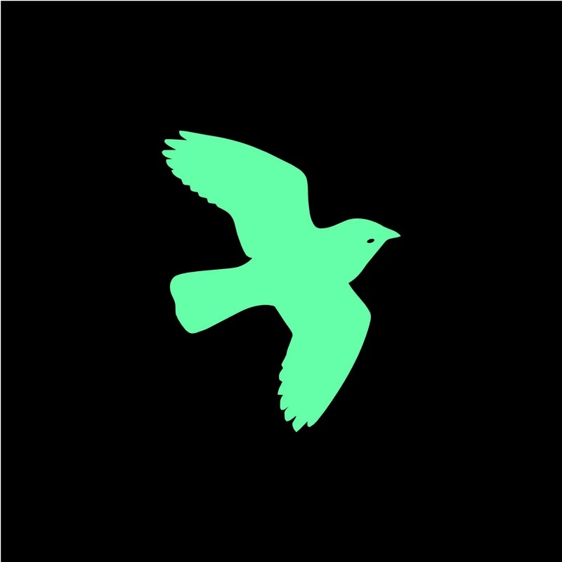 970 Gambar Burung Kartun Terbang Gratis Terbaik