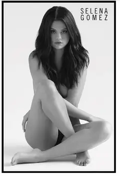 

Selena Gomez - Music Personality Sexy Art Wall Decor Silk Print Poster