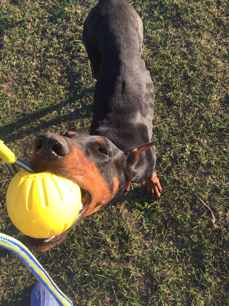 UTB8utrHsmbIXKJkSaefq6yasXXa1