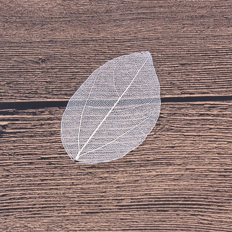 4698500945_448688674