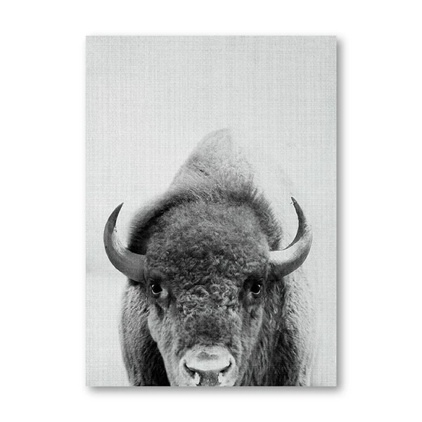 cow print nursery decor