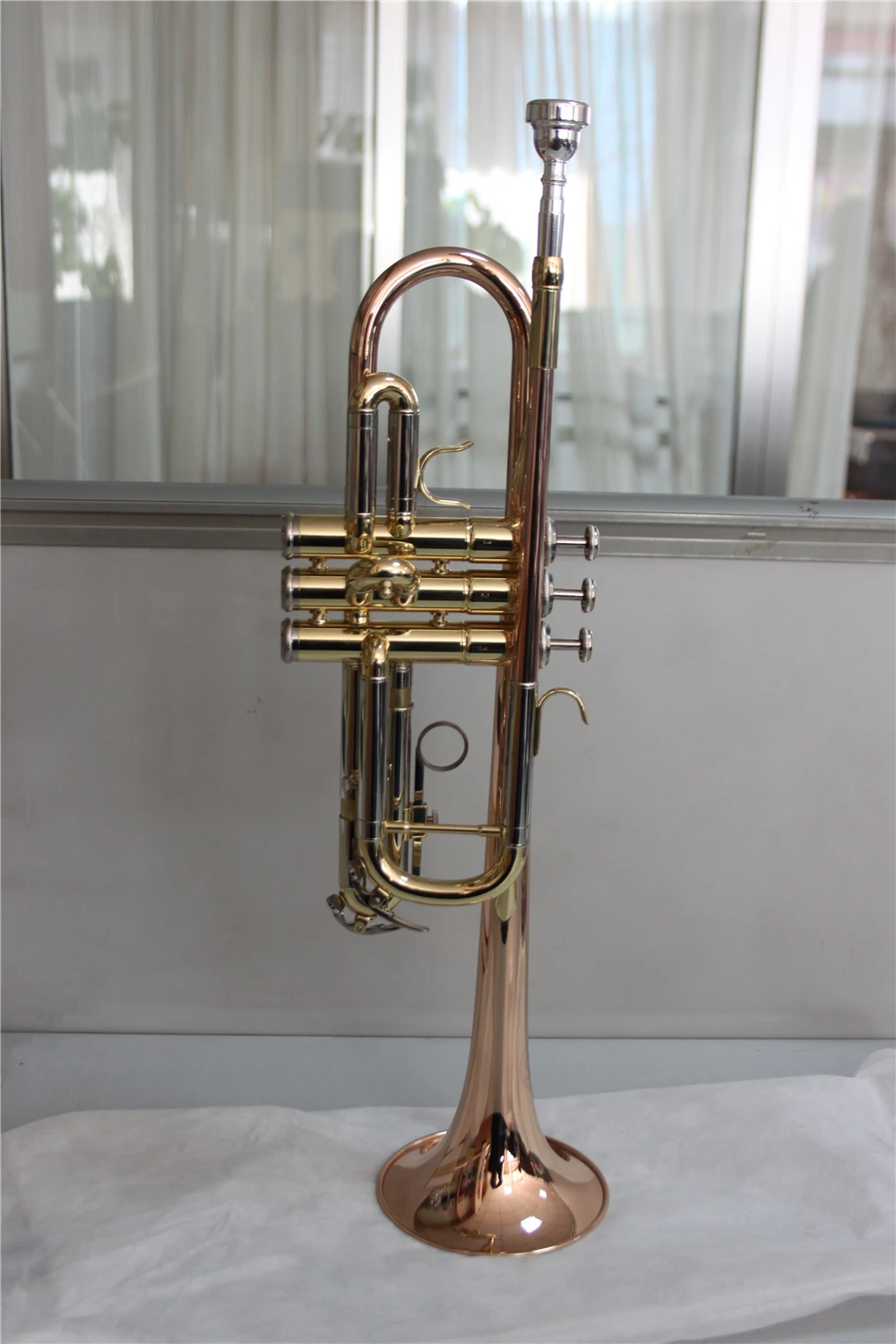 TR8645L (3)