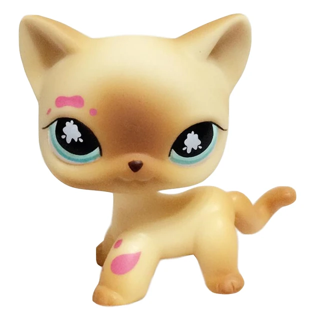 Lps Pet Shop Toys Real Rare Persian Cat Chat Persan Yellow Kitty Old Original Toy Free Shipping Action Figures Aliexpress