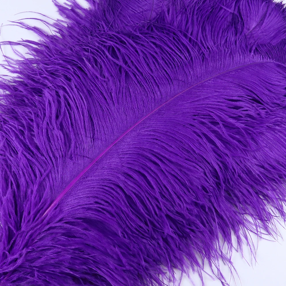 TS0160015 60-65cm ostrich feathers 3