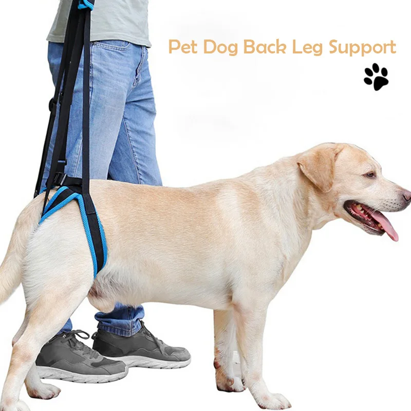 2020 nuevo perro mascota para espalda y piernas apoyo a las piernas débiles soporte ajustable perro levantar arnés de perros de compañía ayuda ayudar herramienta