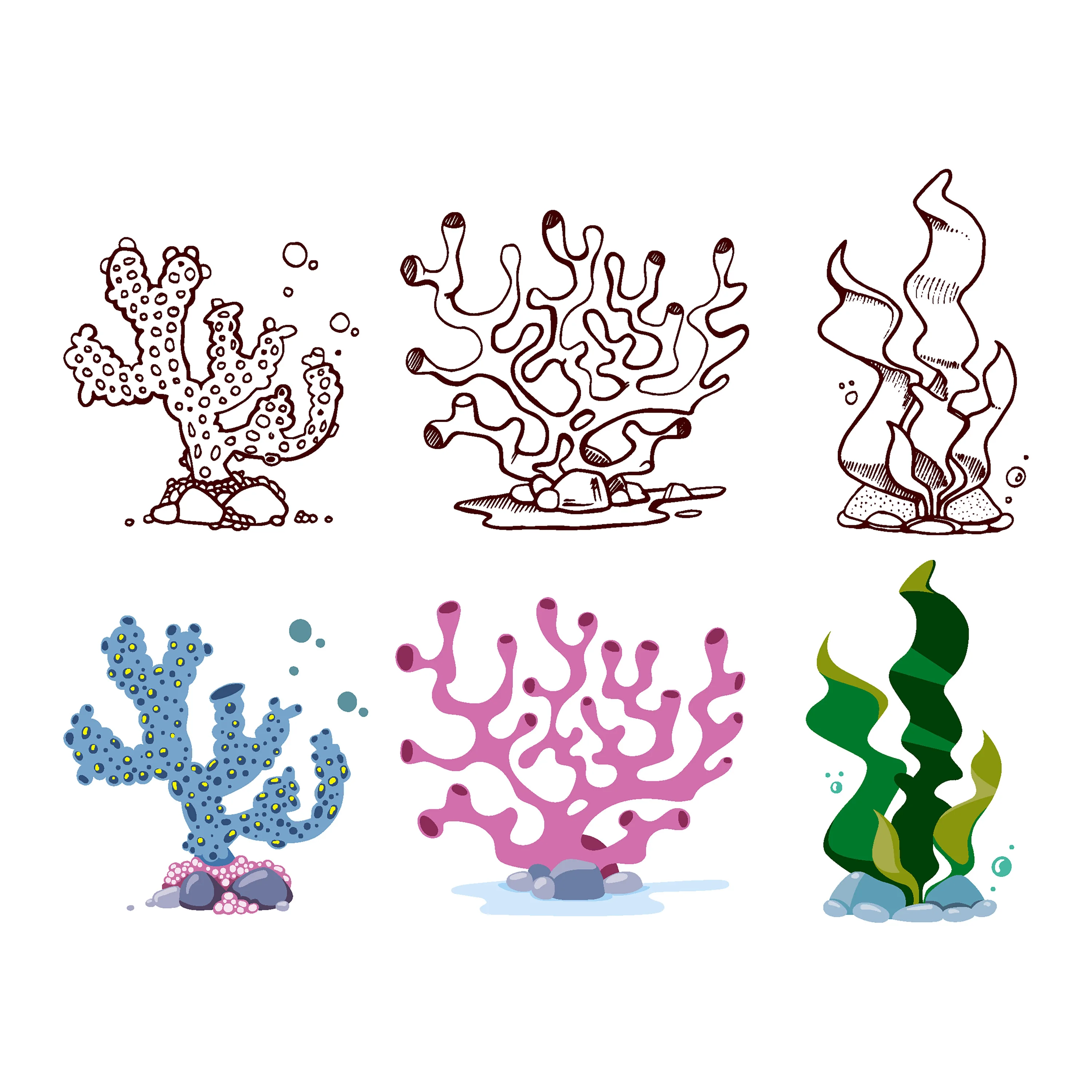 Seaweed Stencils