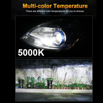 

9006/HB4 LED Fog Lamp Car Motocycle Warm White 12V Car Stying Driving Auto Bulb 9006 Kit Fog Light CARLitek 10000LM 90W 5000K