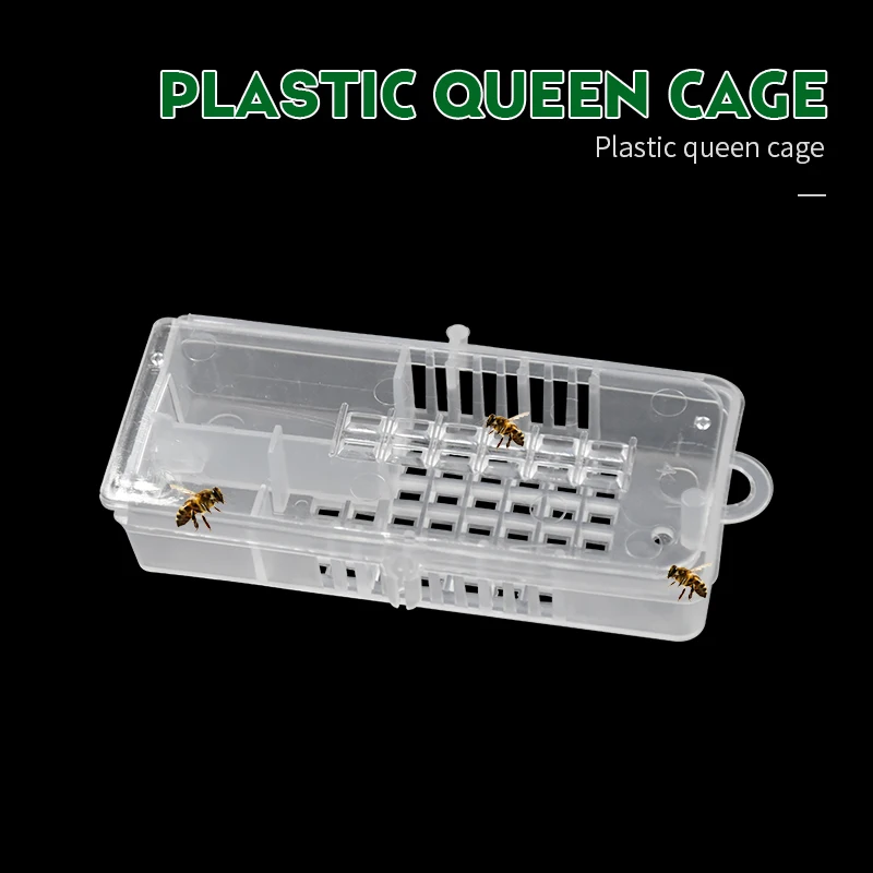 QC01张