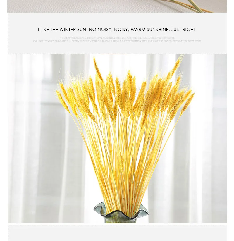100 шт. сухоцветы для букетов настоящий пшеничный цветок уха Натуральные сушеные цветы для украшения свадебной вечеринки пшеничный натуральный сушеный домашний декор пшеничный букет