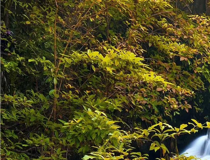 QQ截图20200725093108