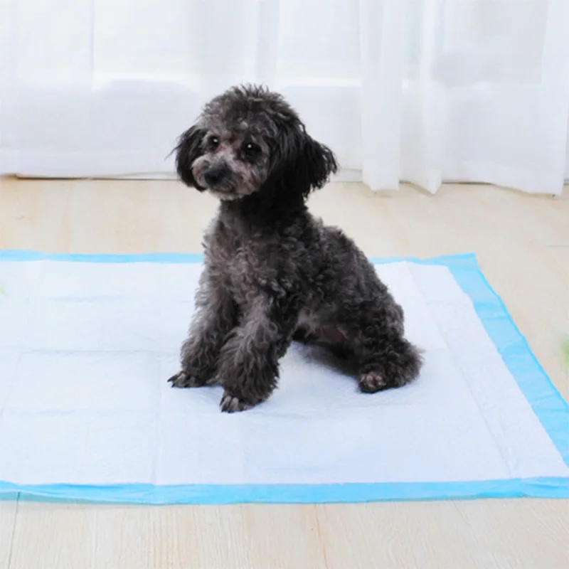 Title 11, S/M/L/XL 10PCS Super Absorbent Cat Dog Diapers ...