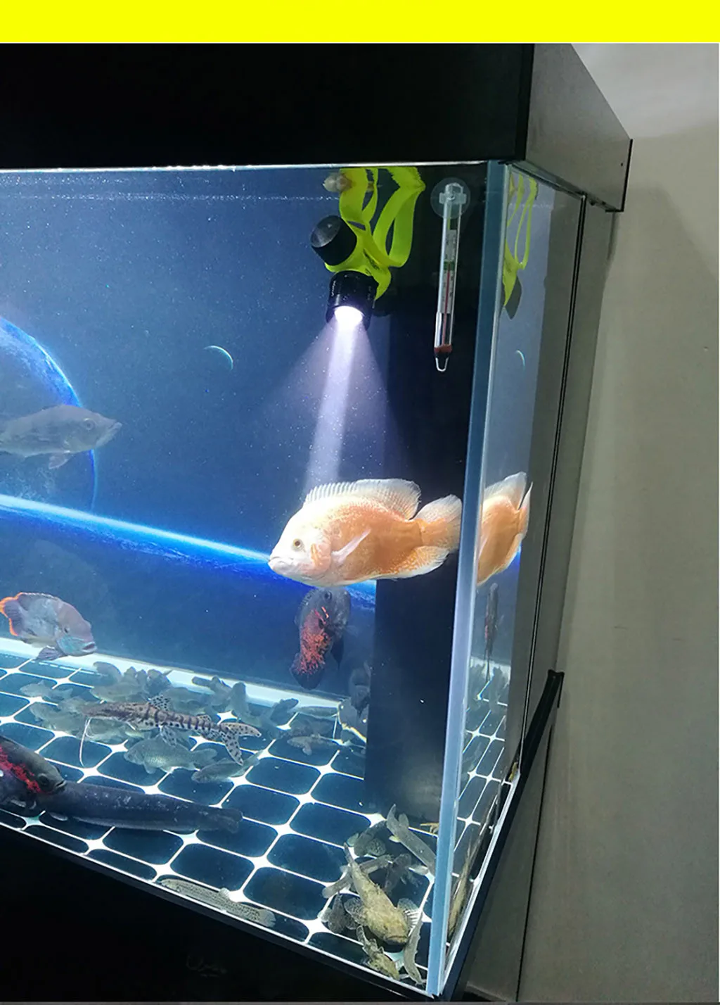 Best Headlight 2019 Spring Autumn New Fashion LED Aluminum Alloy Non-focusing R-otary Magnetic Switch Diving Headlight Stretch 14 Best Headlight 2019 Spring Autumn New Fashion LED Aluminum Alloy Non-focusing R-otary Magnetic Switch Diving Headlight Stretch 14