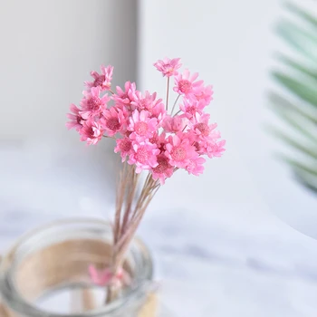

New100PCS Dried Flowers Mini Daisy Small Natural Dried Flowers Bouquet Wedding Home Decorative Photography Photo Backdrop Prop