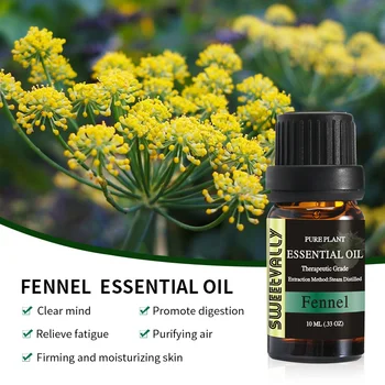 

Sweetvally Oil Perfumes Pure Essential oils Set Cheap Fragrance oils eucalyptus Rose Fennel Essential Oils Good for Headaches