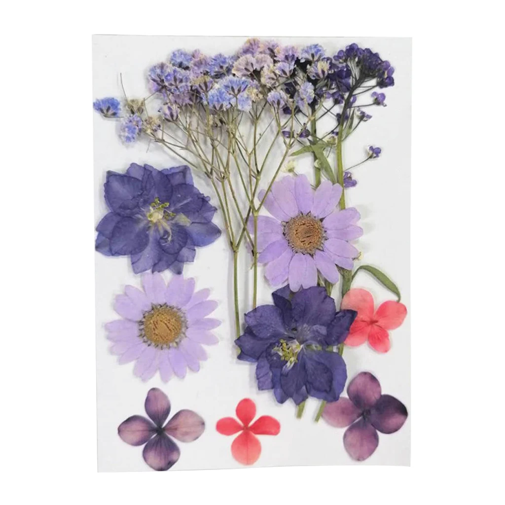 12PCS/Bag Pressed Dried Real Natural Flowers Plants for Handmade Bookmarks, Scrapbooking, Album Frame Decor, Art Paper Making