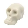 10pcs Simulation Human Skull Mini Skull Plastic Replica Halloween Home Decoration Decorative Craft ► Photo 3/6