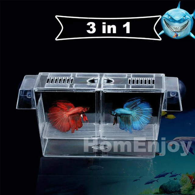 Aquarium,Suspension aquarium guppy bébé Petite boîte d'élevage