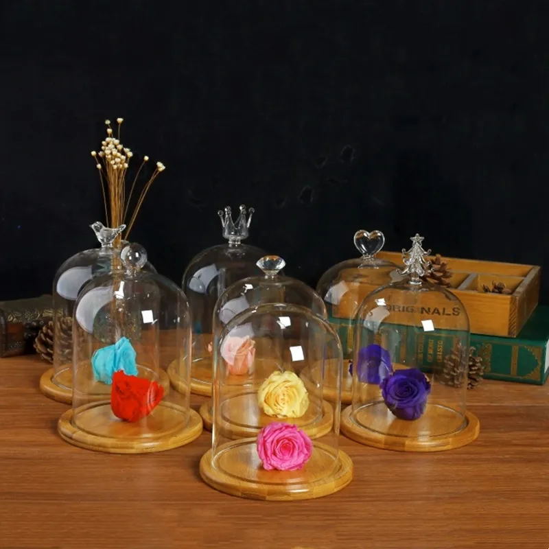 12*16cm Bamboo Base Different Top Glass Dome Vase Home Decoration Transparent Cover Wedding Live Prop DIY Friend Favor Gift 5