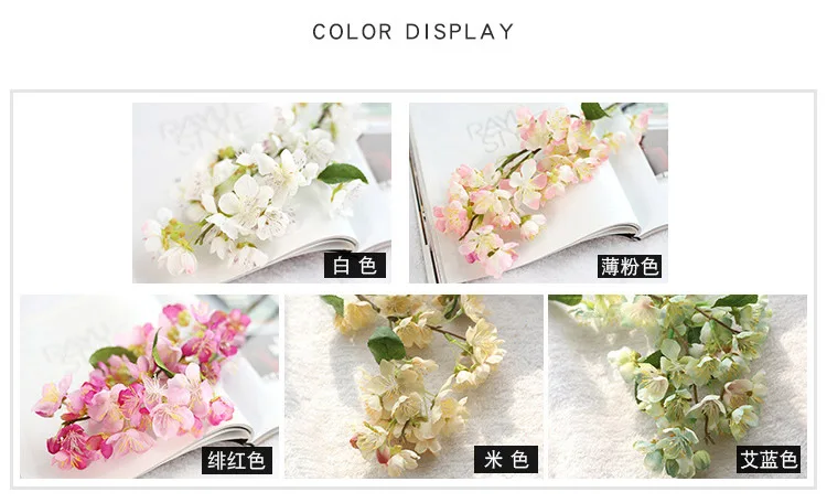 4404879710_516171610