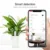 HHCC Flower Monitor Flora Garden Care Plant Grass Soil Water Fertility Smart Tester Sensor Flower Gardening Detector For XiaoMi