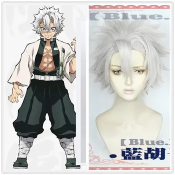 

Anime Demon Slayer: Kimetsu No Yaiba Cosplay Shinazugawa Sanemi Short Gray Silver Hair Halloween Concert Role Play Styled Wig