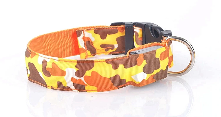 dog collar (17)
