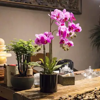 

1 Stem Real Touch Latex Artificial Moth Orchid & leaf Butterfly Orchid Flower Festival Decoration for new House Home Wedding