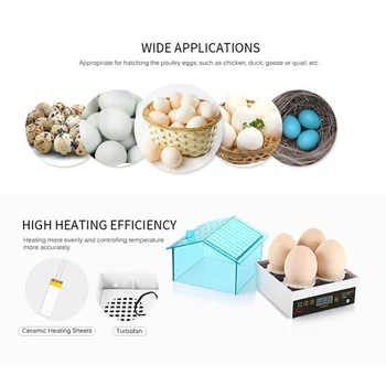 

Egg Incubator Digital Small Brooder Temperature Hatching Poultry Hatcher Egg Machine Hatcher for Chicken Duck Bird Pigeon Quail