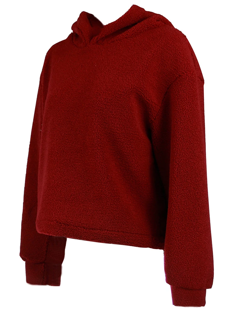Новая модная зимняя одежда женские теплые толстовки Manteau Femme пальто Hiver Эстетическая уличная одежда женские топы фланелевые повседневные женские пальто