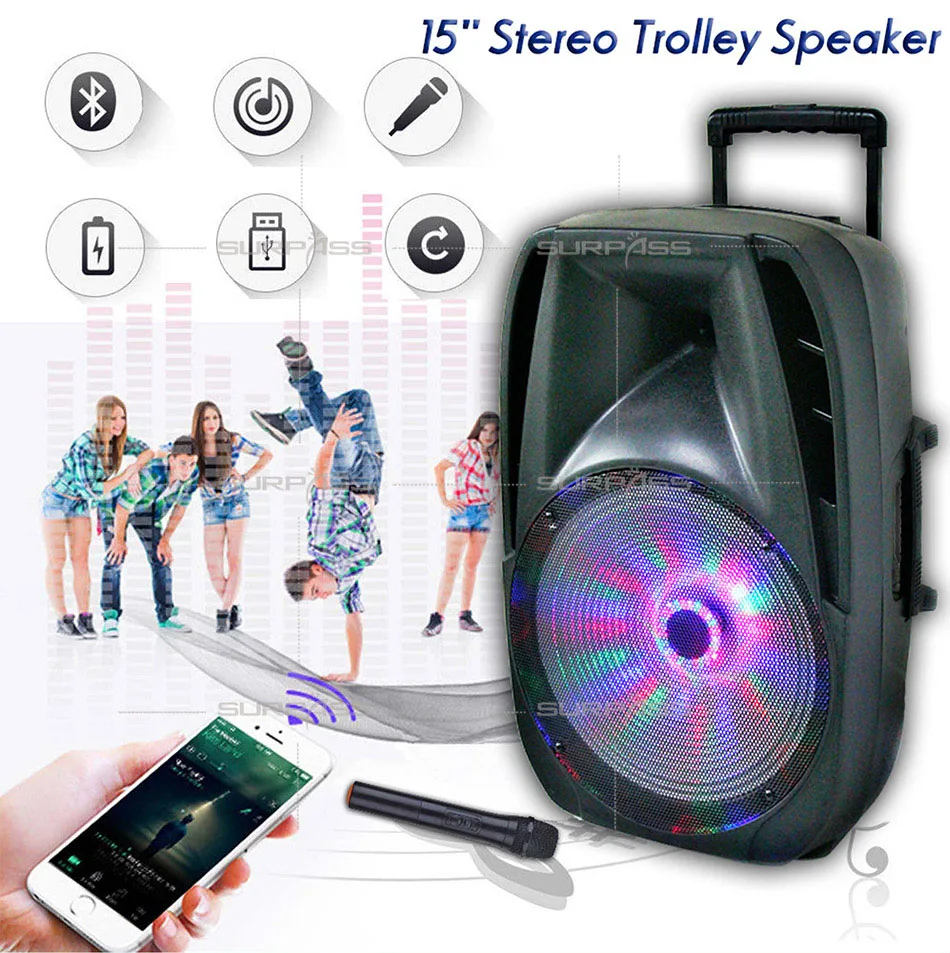 

Wireless Microphone Input 15inch Big Power Outdoor Portable Speaker With FM Radio Bluetooth