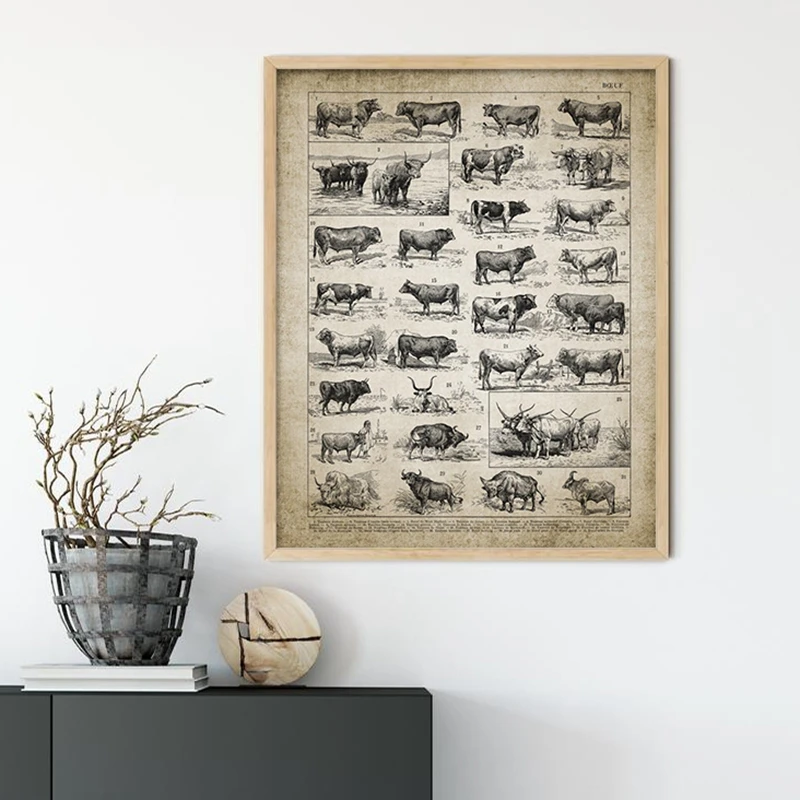 Antique Bull Breeds Wall Art Print