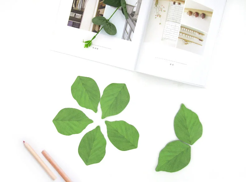 11429705473_201680847