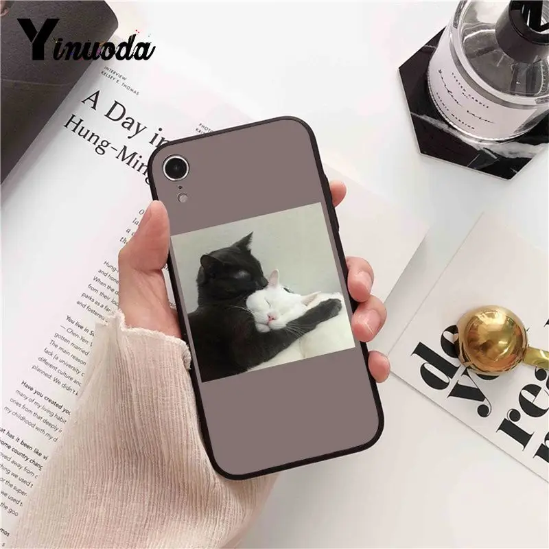 funny cat dog mood