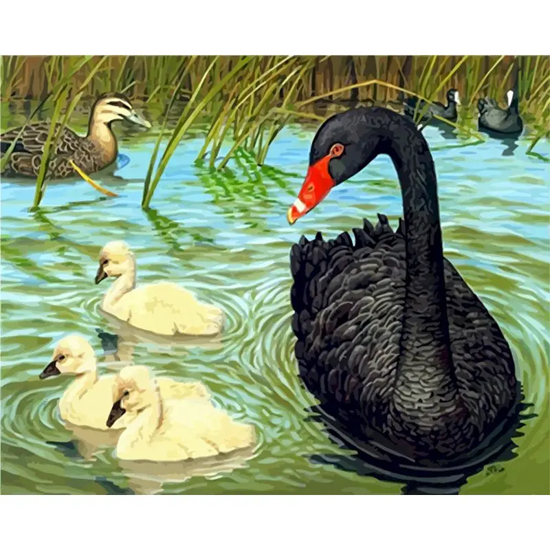 

Painting By Numbers DIY Black and white swan Modern Wall Art Canvas Hand Painted Oil Painting For Home Decor Frame Adults Gift