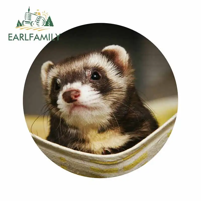 Landscape Ferret 2 Sticker