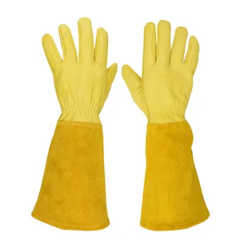 

Long Sleeve Protective Gardening Gloves Trimming Thorn Cut-Proof Working Puncture Resistant Durable Yard Rose Pruning Beekeeping