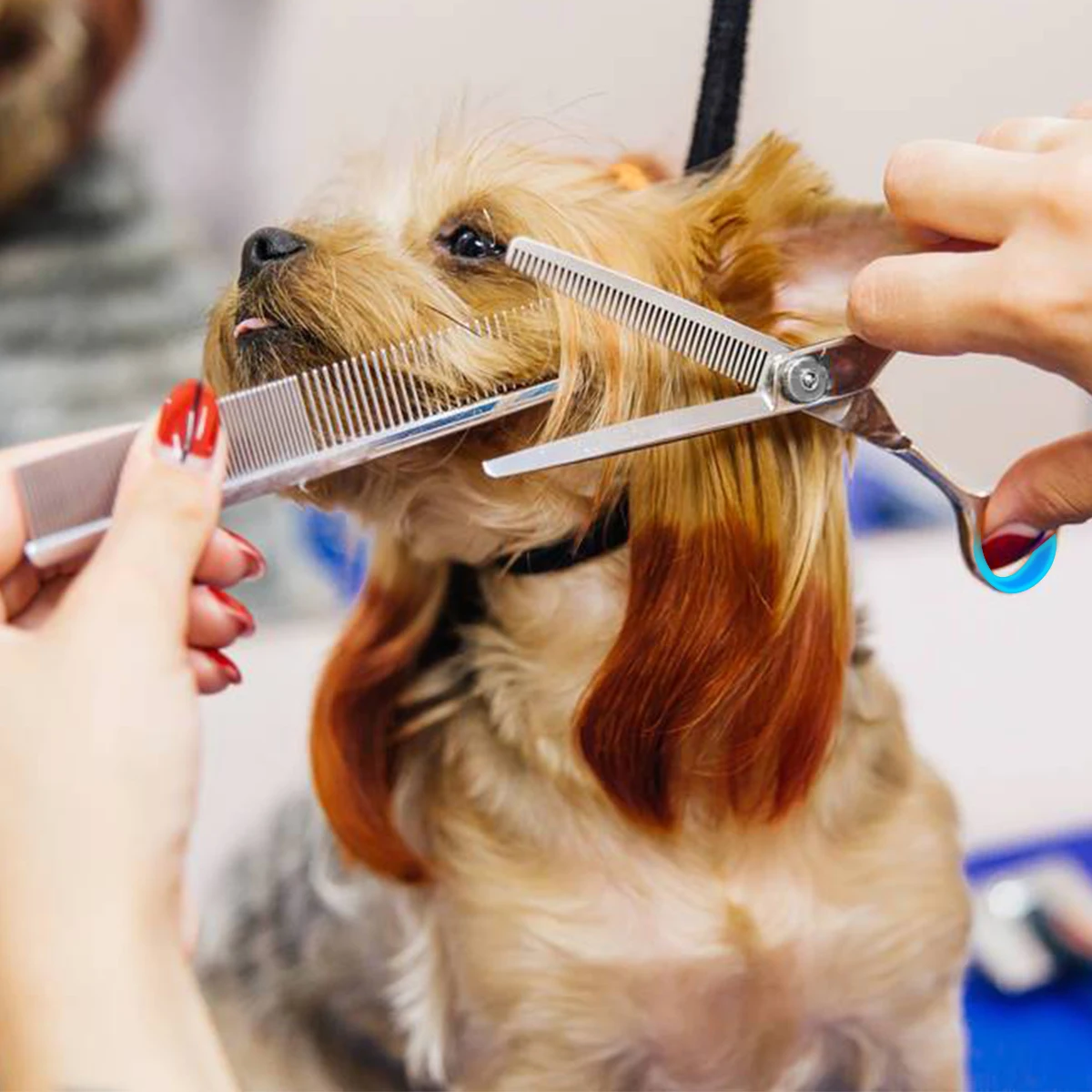 Корм для питомцев сумки собаки Диспенсер светодиодная лампа мешок отходов с