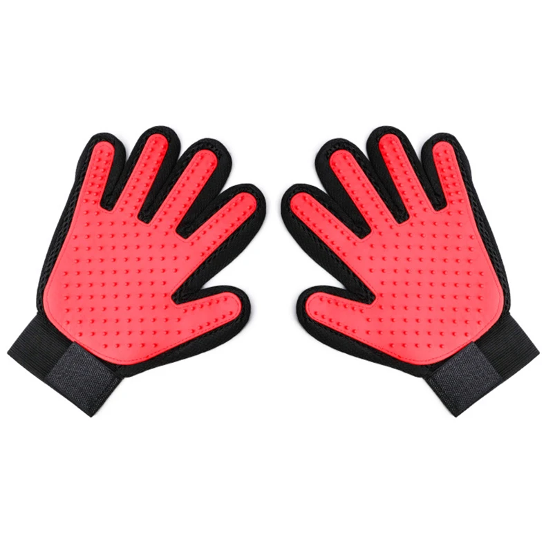 10090270604_878892640