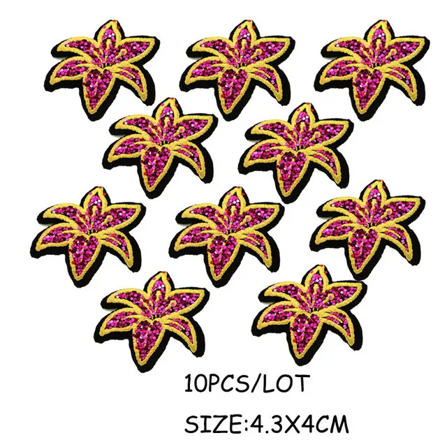 10PCS