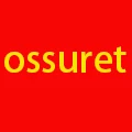 OSSURET France Store