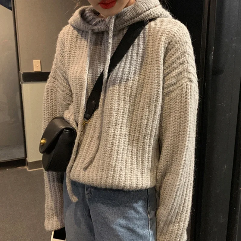 Gray Sweatshirt RICININA, Повседневная Женская толстовка с длинным рукавом, одноцветные толстовки, женская трикотажная толстовка с капюшоном, женские пуловеры больших размеров, весна - Цвет: Gray Sweatshirt