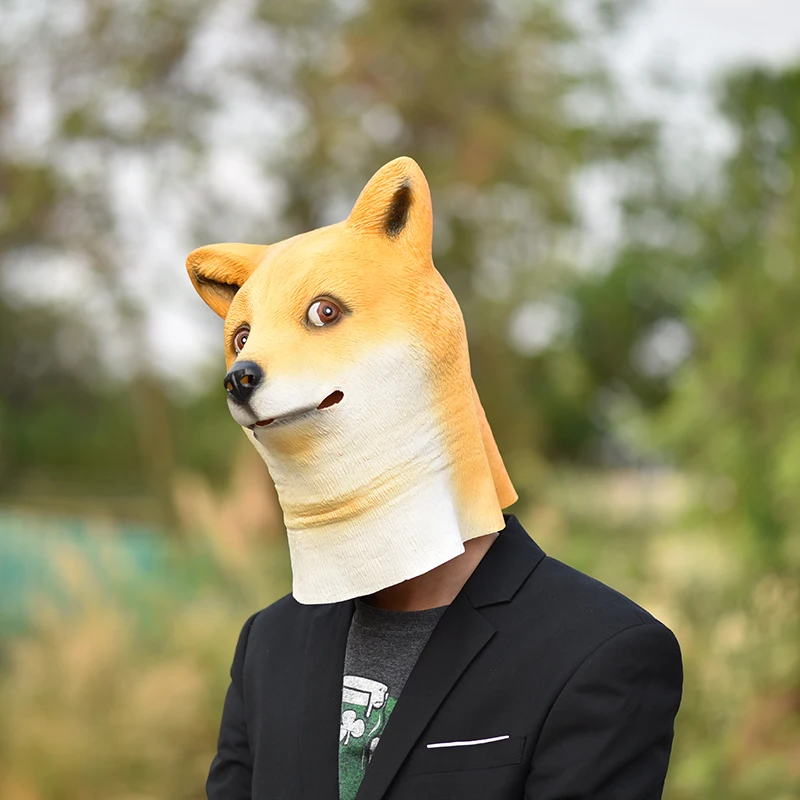 īϹ ҷ Kabosu   Ӹ LatexMask      ȸ Ƽ ǻ, ִ ģ