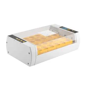 

Small smart incubator for up to 24 eggs European standard Mini Fully automatic Yellow plastic material