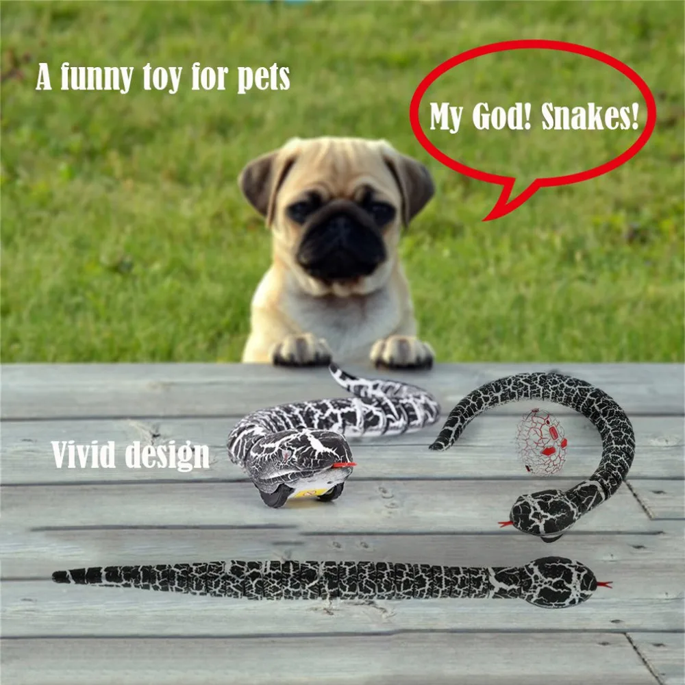 LL31700-C-20190709-1