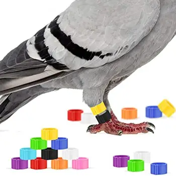 

100 Pcs Pigeons Foot Rings Color Random 8mm Bayonet Identification Ring Opening Color Pigeon Foot Ring Pigeon Supplies