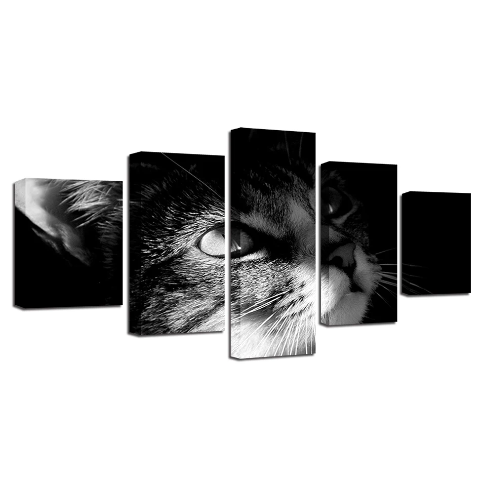 HTB1wyNak8smBKNjSZFFq6AT9VXaZ