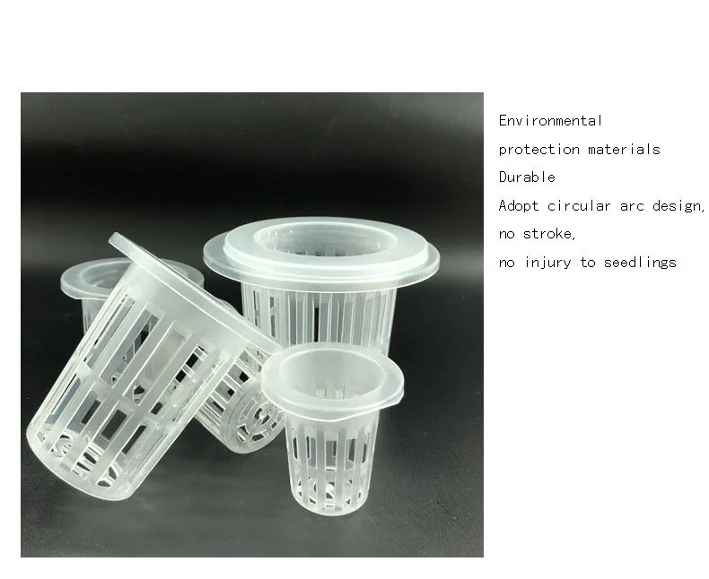 11804406780_456212297