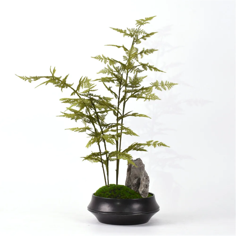 1 Pc 人工植物アスパラガスシダ盆栽小さな竹盆栽剛毛で覆われたアスパラガス植物偽盆栽 造花 ドライフラワー Aliexpress