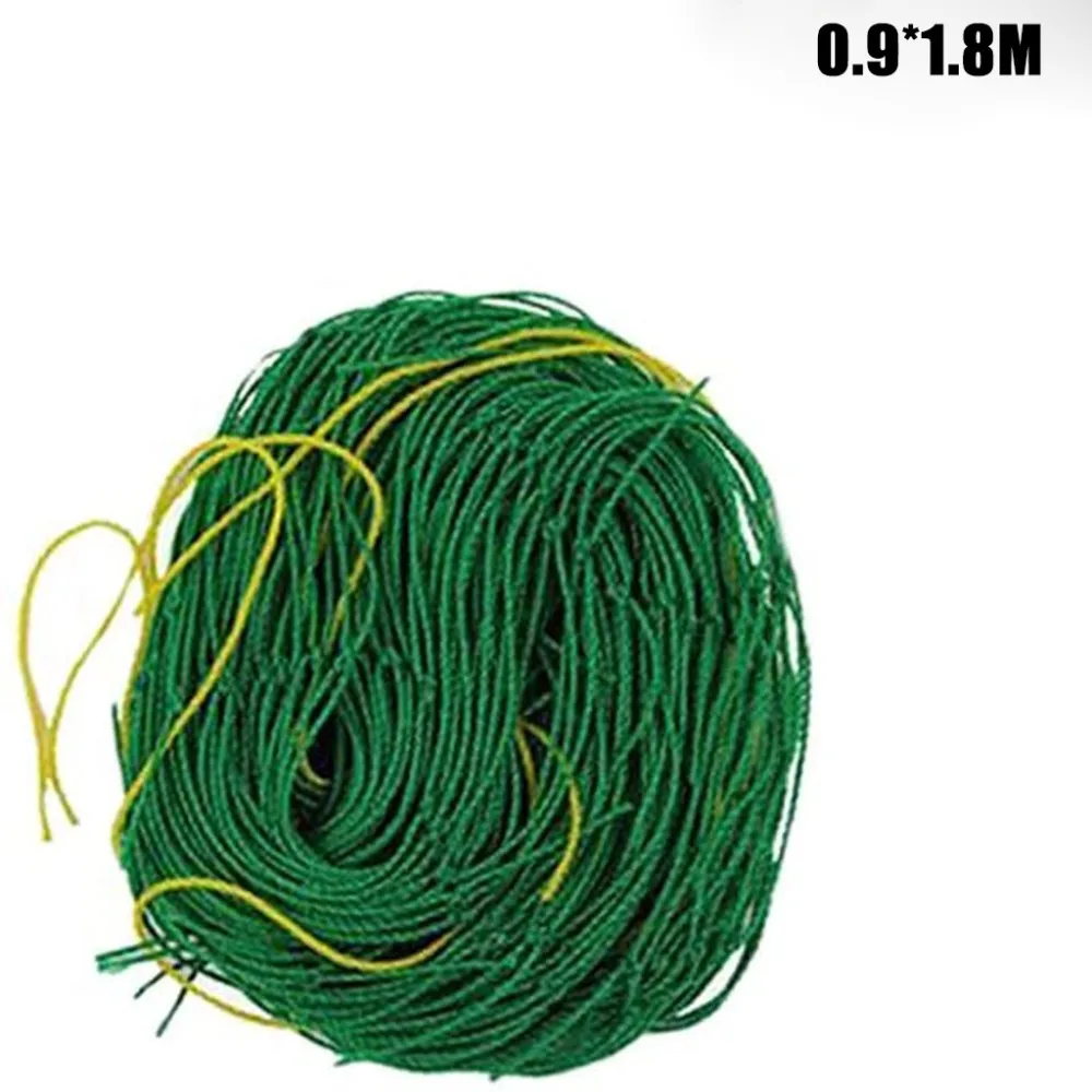 LFY200428214A_0430320849020954860